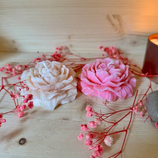 Coffret : Fleur de l’amour