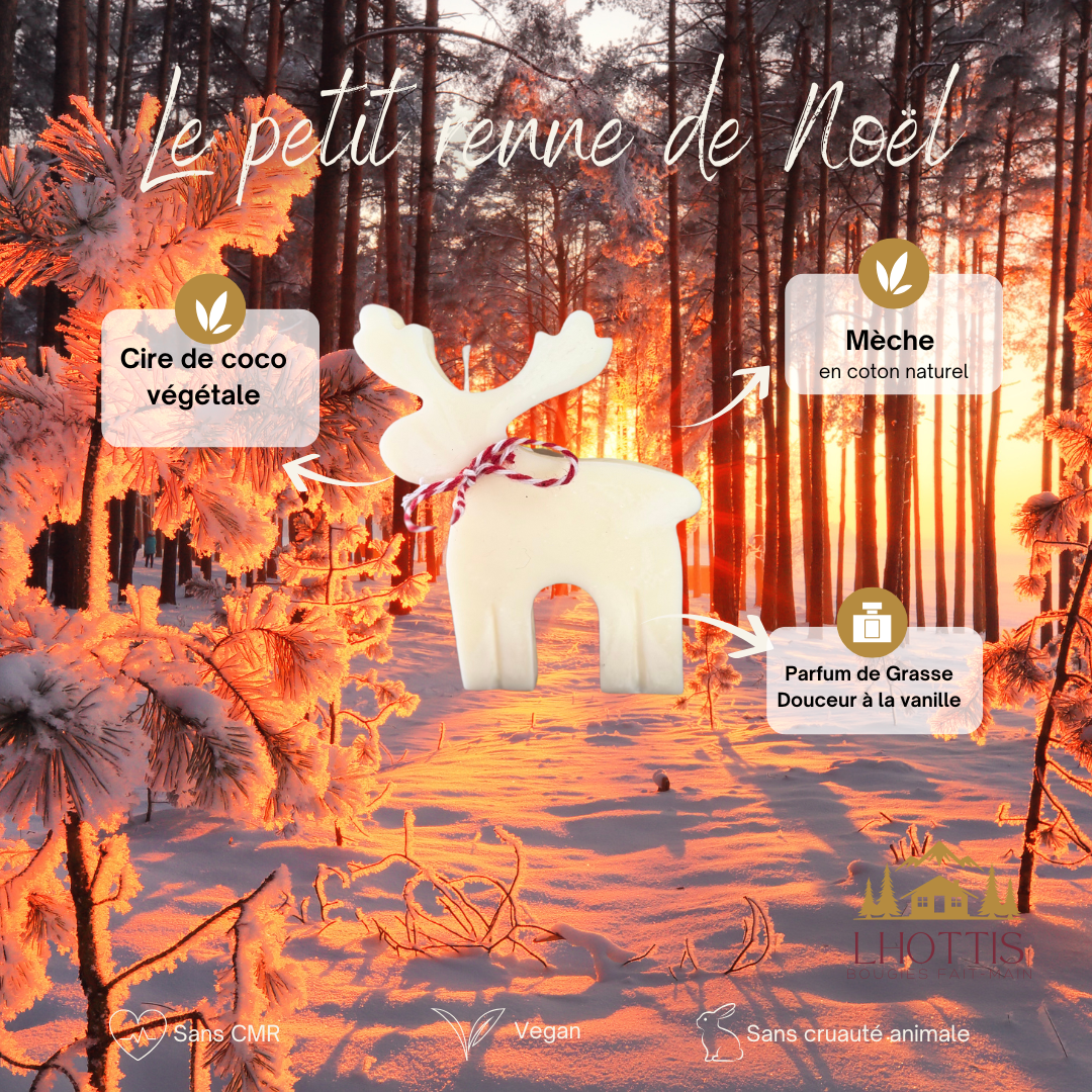 Le petit renne de Noël