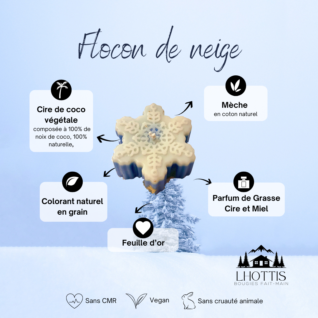 Flocon de neige